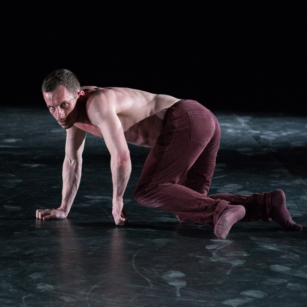 HUMANS ARE STRANGERS - Steven Chotard (France)