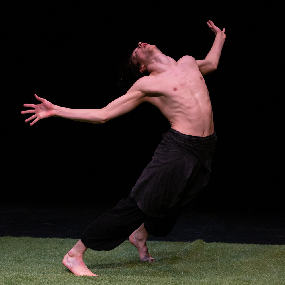 The Hidden Garden - Samuli Emery