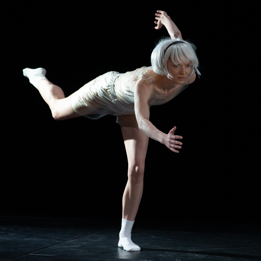 SIRI - Siri Elmgvist